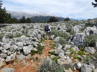 DSCN3866  and onto the fields of stone on the plateau
