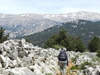 DSCN3867  without a path it would have been very difficult