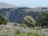 DSCN3870  looking ahead to another gorge, the Aradena