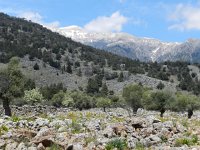 DSCN3871  beneath Pakhnes