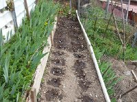 20170401 143938  and lettuce