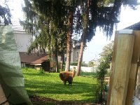 20170404 104629  they look like toys!