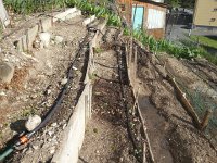 20170419 172529  19 April installing soaker hoses found at Aldi