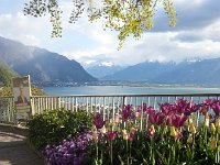 20170419 180705  Tulips, lakes and mountains