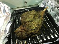 IMG 5845  gigot comes out