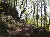 20170423 144500  forest leafing out