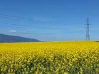 20170423 152212  spare