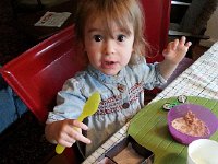 20170427 073446  Val finds little ducks in a box!