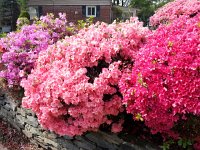 20170427 103833  more colors