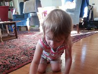 20170428 074437  Val discovers a new toy!