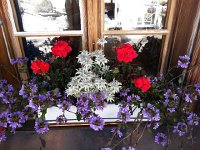 20170812 154003  lovely flowerbox