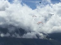 IMG 2109  parapentists