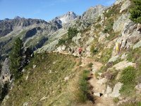 20170815 091019  Eva leading the way from the top of the lift above Champex