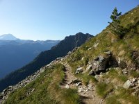 20170815 091607  cliffs at the start, then steep sidehill
