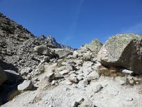 20170815 101431  trail up rockpile