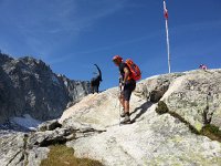 20170815 103921  Bruno and bronze bouquetin at Orny