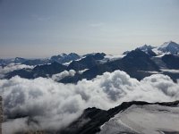 20170820 103749  Nadelhorn (R)
