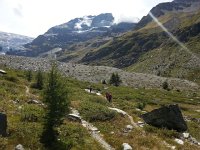 20170820 142907  following the trail out