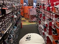 20170825 151948  Shoe Carnival