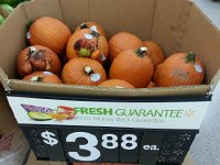 20170831 155603  back to Walmart