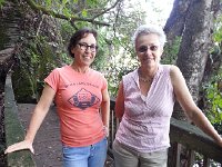 20170903 153243  walk along the French Broad