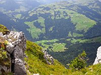 20170803 145302  fields below