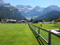 20170805 134258  robot lawnmover