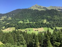 IMG 2055  From the train on first day at FIFAd