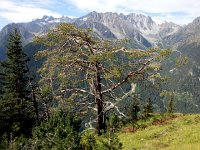 20170807 103059  looking across to the Val d&#39;Arpette