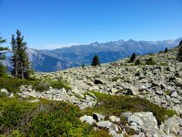 20170807 135342  rubble