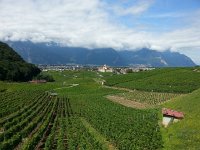 20170809 120158  Back to Les Diablerets