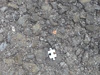 20170819 101343  someone will miss this piece