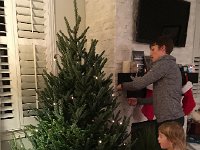 IMG 3421  putting on the lights