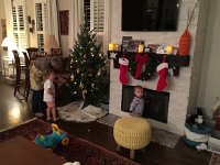 IMG 3424  Titine helps out