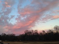 IMG 6052  the Belle Meade Steps at Percy Warner Park