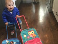 IMG 4674  Two suitcases on wheels!!!