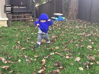 IMG 4528  Liam toddling