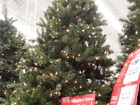 20171203 135345  pricing full size artificial trees in Michaels