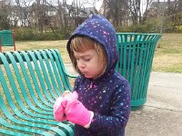 20171206 101110  in there somewhere