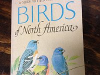 IMG 6017  There was some question about where this book went