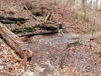 20171208 115856  A spring pops out of the hillside