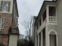 IMG 4616  very little space between them