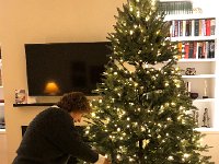 IMG 6066  their four-stage Christmas tree