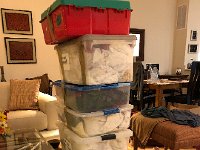 IMG 6069  just a few decorations for the tree