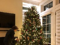 IMG 6073  taking shape