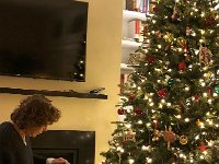 IMG 6077  like a display tree in the Mall!!