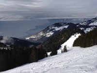 IMG 0064  Next day, more of the same