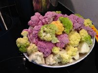 IMG 0074  later, multicolor cauliflower