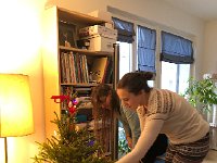 IMG 6118  tree decoration proceeds