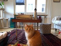 IMG 6120  Woody waits